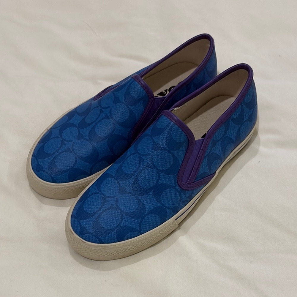 Coach Blue and Purple Suede Loafers